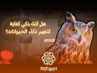 هل نحن أذكياء كفاية لنفهم ذكاء الحيوانات؟ اكتشافات مدهشة عن عقول الكائنات الحية