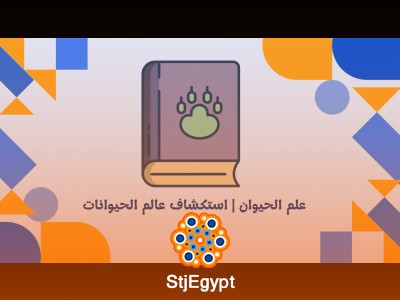 علم الحيوان | استكشاف عالم الحيوانات