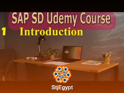 دورة SAP SD مجانية للمبتدئين