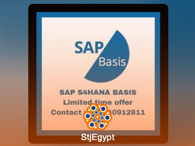 دورة SAP BASIS كاملة بواسطة CHANDU IMMADI