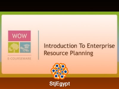 دورة SAP الشاملة | كورس SAP للمبتدئين والمحترفين