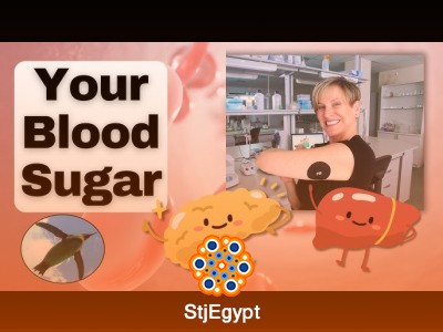 Biochemistry & Chemistry Basics: Blood Sugar, Enzymes, and Lab Skills