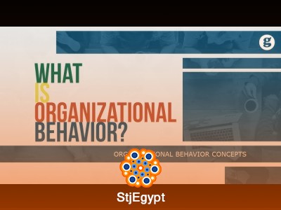 Organizational Behavior Fundamentals | Management Skills & Workplace Strategy