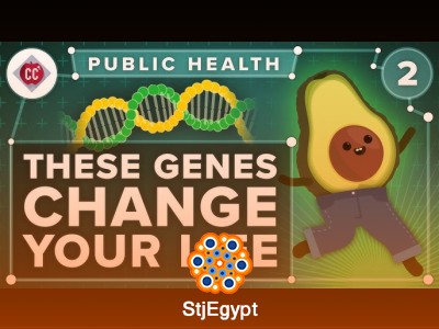 CrashCourse Public Health: Understanding Health in Society