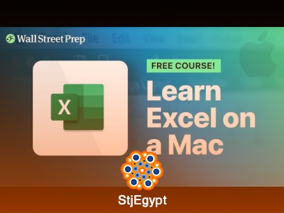 Excel for Mac Beginner Course – Getting Started with Excel (Wall Street Prep)