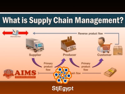 Supply Chain Management Full Course: Buy, Make, Move & Logistics Explained