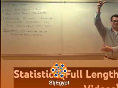 Elementary Statistics Masterclass for Beginners