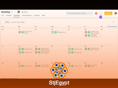 Asana – Project and Team Management Tool Overview