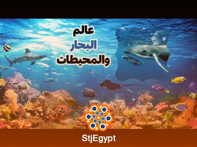تفسير القرآن