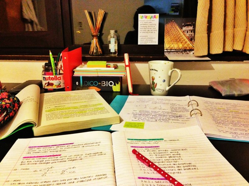 كورسات مجانية لحل كل مشاكلك | تعلم من جوجل وأفضل المنصات العالمية