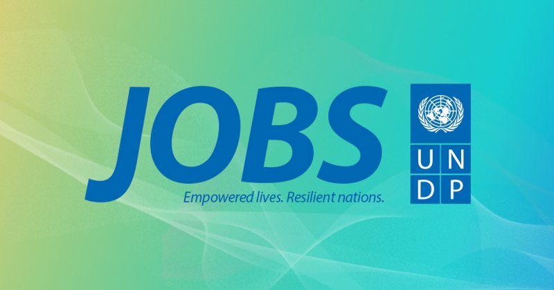 Team Leader and Housing Policy Senior Expert, Cairo, Egypt, UN