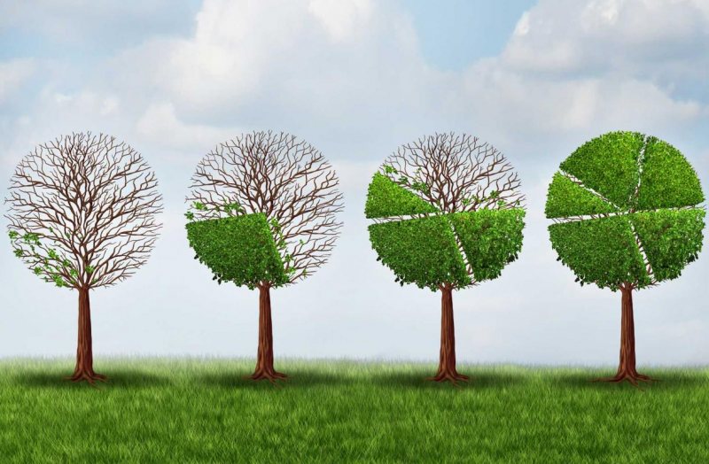 كورس رائع عن الاقتصاد من البداية