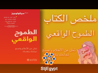 ملخص كتاب "الطموح الواقعي: تخلَّ عن الأحلام واصنع نجاحك بنفسك"