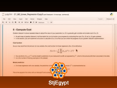 مختبرات تعلم الآلة من كورسيرا | من تقديم Michael