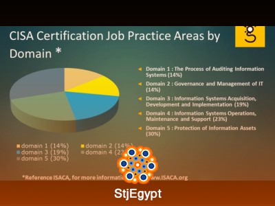 CISA Certification – Domain Weighting Overview