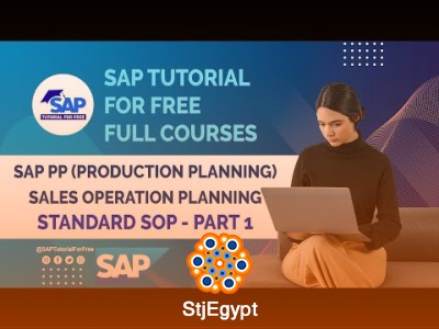 SAP PP Sales & Operations Planning (SOP): Standard and Flexible Planning