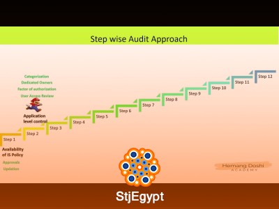 Practical Information System Audits: Step-by-Step Guide