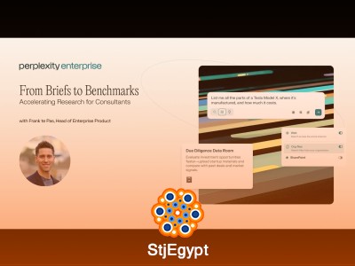 Perplexity in Practice: Enterprise Workflows, Finance & Consulting