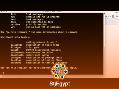 Introduction to Web Programming with Go – Templates & File Handling