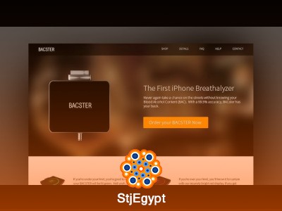 Web Design & Frontend Development – Project-Based HTML, CSS & Interactive UI