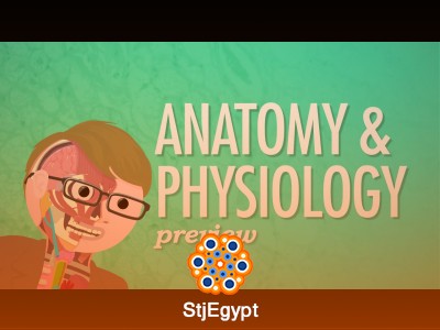 CrashCourse Physics – Motion, Torque & Mechanics