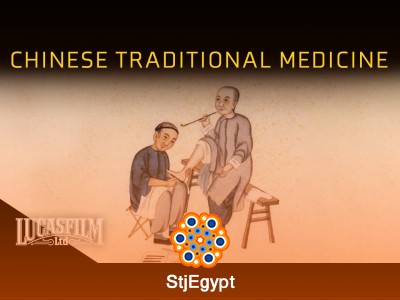 Medicine in the Middle Kingdom: History of Traditional Chinese Medicine