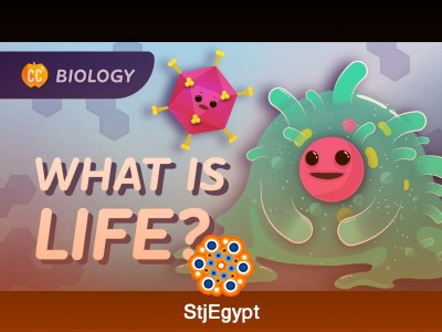 Introduction to Biology: CrashCourse Overview