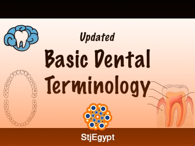 Basic Dental Terminology - UPDATED
