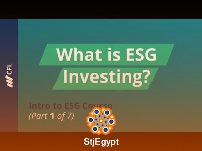 Introduction to ESG Investing – Corporate Finance Insights