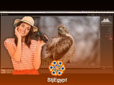 Wildlife Photography Lightroom Workflow – Import, Organize, Cull & Export