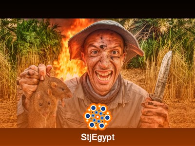 Primitive Survival Skills & Bushcraft Fundamentals Course
