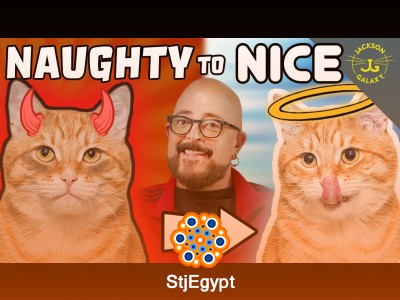 My Guide to Help with Mischievous Cat Behavior