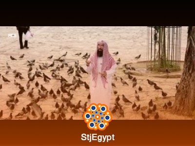 تفسير القرآن