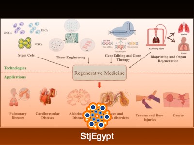 The Basics of Regenerative Medicine Course | Introduction to Tissue Repair and Cell Therapy