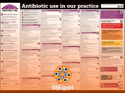Antibiotics in the Environment: What Do We Know and What Is the Veterinary Role?