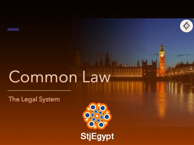 Business Law & Practice Course: Companies, Partnerships & Legal Structures