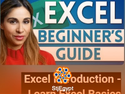 Excel Beginner Course – Data Entry, Filters, Sorting & Validation (Full Tutorial)