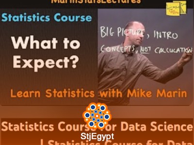 Statistics Fundamentals and Data Visualization Course