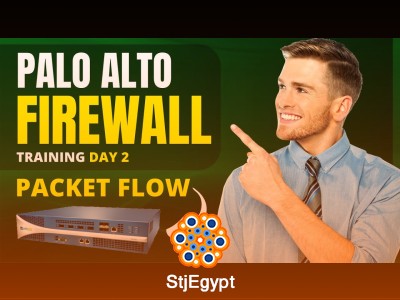 Cybersecurity Strategy & Enterprise Risk – Palo Alto Networks, OWASP & Security Insights