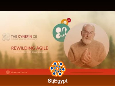 Complexity Thinking in Agile: Cynefin Framework, Sensemaking, and Modern Leadership