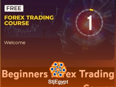 Forex Trading for Beginners Complete Step-by-Step Course