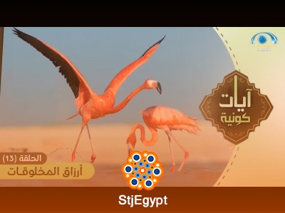 تفسير القرآن