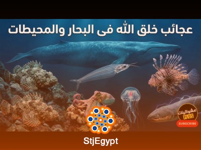 تفسير القرآن
