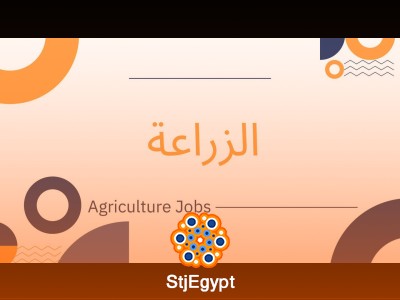 لوجو الشركة