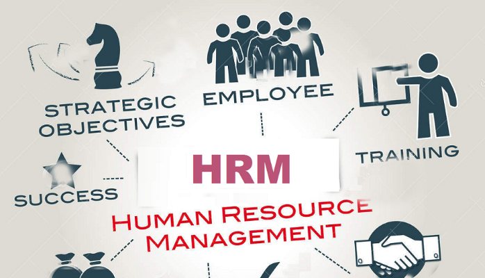 تحميل الماتريال الكاملة في إدارة الموارد البشرية (HRM) بالعربي والإنجليزي