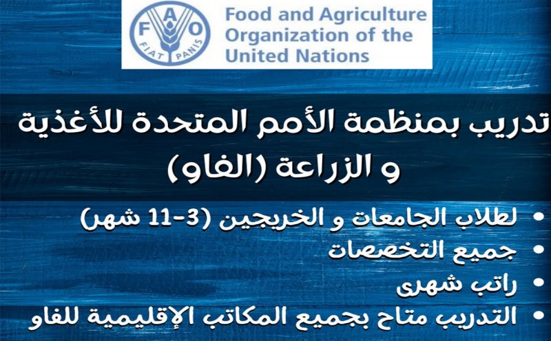 لوجو الشركة