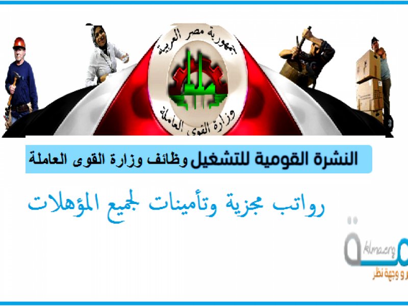 لوجو الشركة
