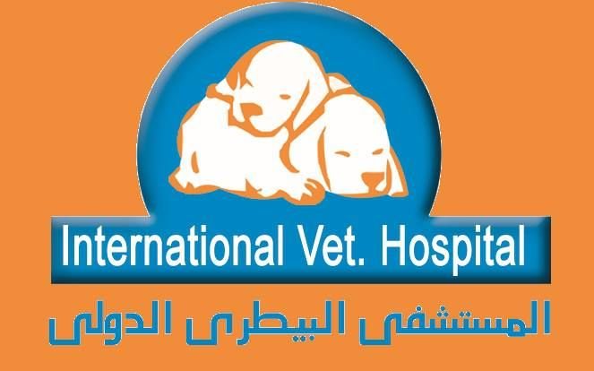 لوجو الشركة