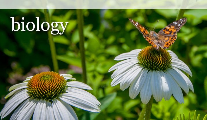 Biology - علم الاحياء